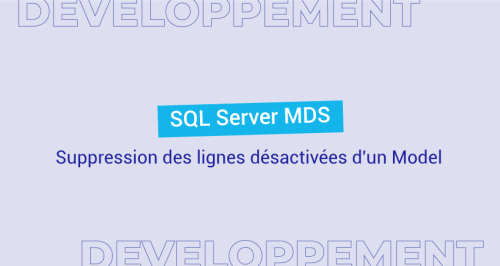 SQL Server MDS - Suppression des lignes désactivées d'un Model