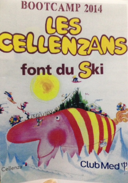 Séminaire annuel de Cellenza au ski, édition 2014
