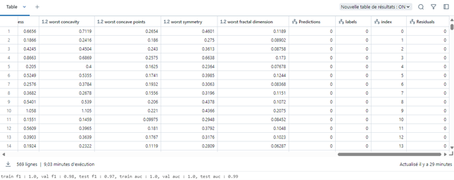 Dataframe en sortie d’AutoML classification sur le dataset breast_cancer